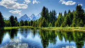 Beauty of Nature