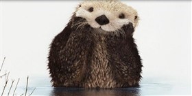 Sad ?