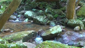 Stony Creek