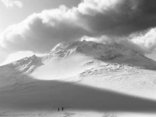 White Powder