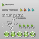 Silver Gecko