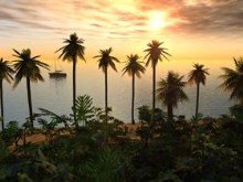 Paradise Discovered