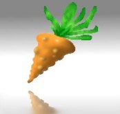 carrot