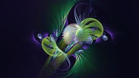 Venus Flytrap LV