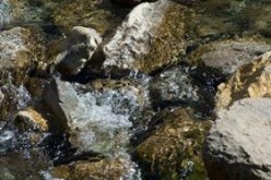 River Flow