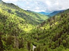 Great Smoky Mountains (4K)