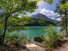 Leopoldsteinersee in Spring