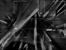 An Awakening - Grey