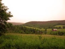 Endless Green