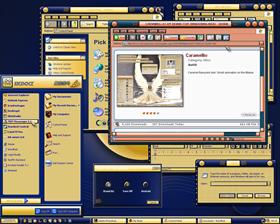 Windows 2004