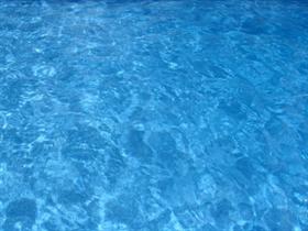 Dive In 