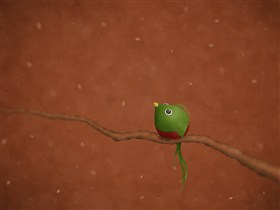 A Little Quetzal