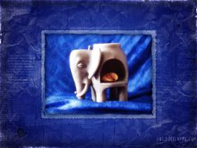 The Elephant and The Sea Shell