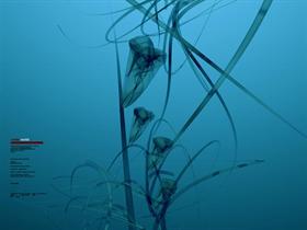underworld