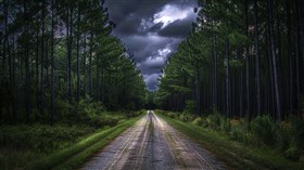 Lonely Road
