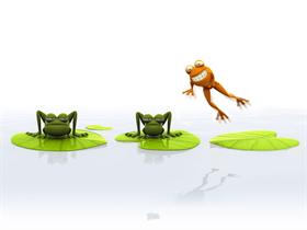 Frog by nicobou