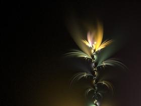 Nocturnal  by onebadpenny
