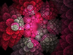 Many flowers by pm-ark