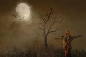 Pumpkin Man