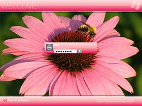 Vista Pink