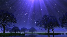 Lavender Dream