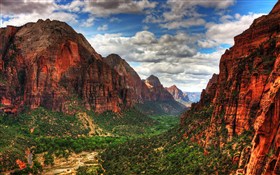 Zion Canyon II