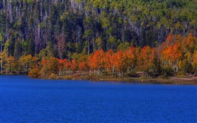 Kolob Fall