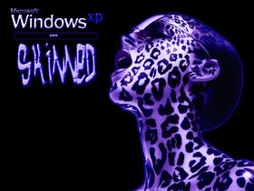 Windows XP Skinned