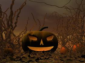 Gnarley Pumpkin Patch
