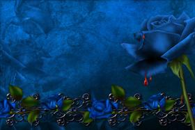 BlueBloodware WS