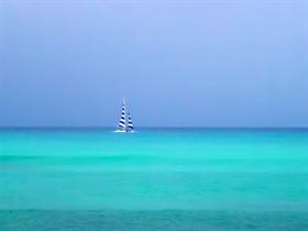 Sailing by Waikiki