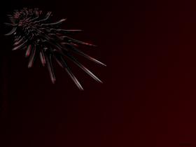 Ostentatious Virtue