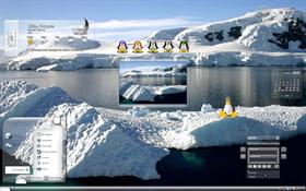 Ice