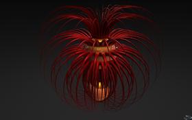 Fiber Optics