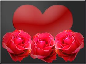 Roses of love