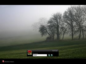 Morning Fog