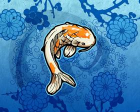 Koi