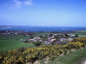 Dorset By The Sea