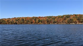 Fall Colors