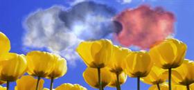 Animated Clouds