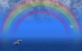Rainbow at Sea