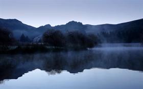 Winter Fog