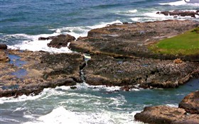 Coastal Paradise
