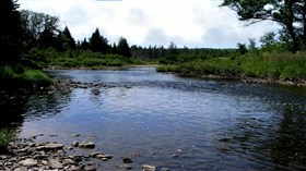 River_View