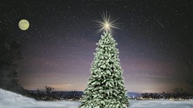 Village_Lights