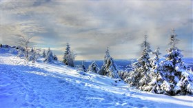 Snowy_Mountain_Coast
