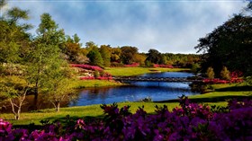 Gorgeous_Spring_Showers