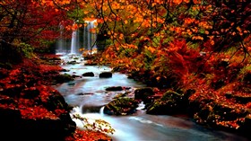 Colorful_Creek_Waterfalls
