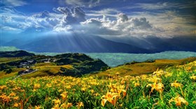 Lily_Sea_Village