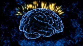The_Human_Brain
